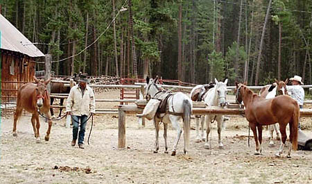 UHL-SaddlingUp.JPG (48188 bytes)