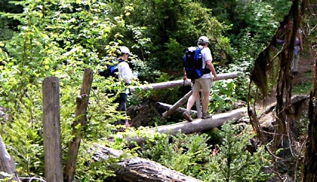 PICT0167TrailDown03.JPG (97664 bytes)